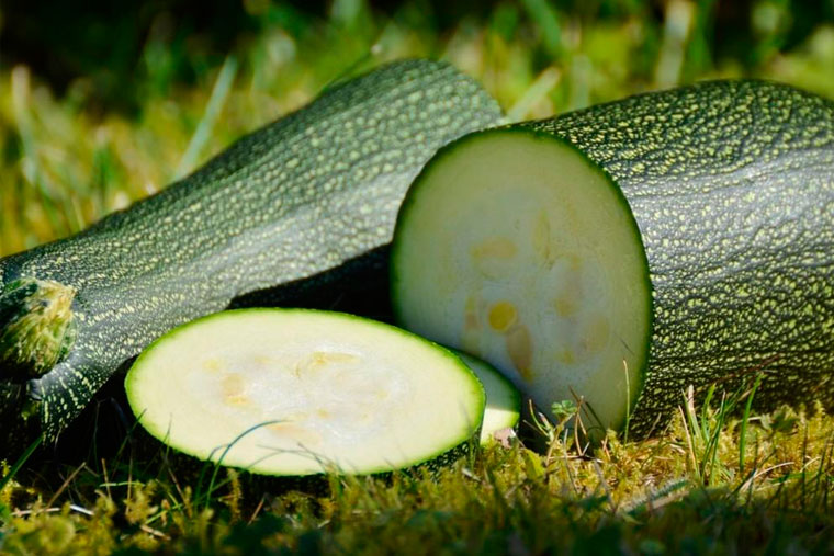 Comenzamos el ultracongelado de calabacín y pimiento