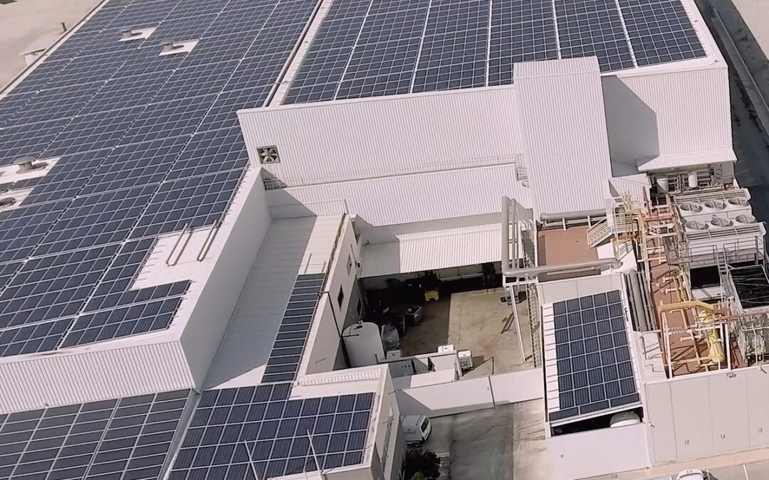 Estrenamos la planta solar fotovoltaica en Congelados Pedaneo